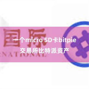 一个micro SD卡bitpie交易所比特派资产