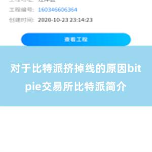 对于比特派挤掉线的原因bitpie交易所比特派简介